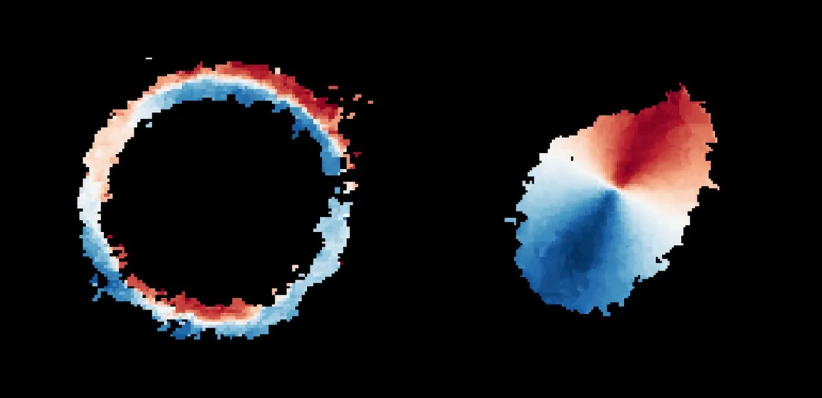 The motion of gas in SPT0418-47, seen in its gravitationally lensed form (left) and in its true form (right). Red indicates gas moving away from us, and blue indicates gas moving towards us. Credit: ALMA (ESO/NAOJ/NRAO), Rizzo et al.