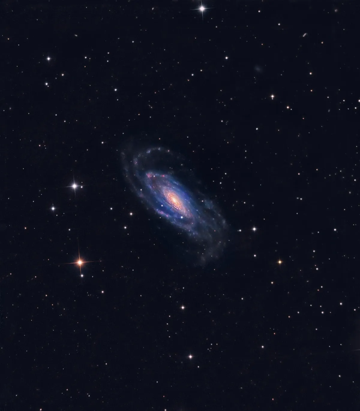 Spiral galaxy NGC 5033 in Canes Venatici Tony Funnell, Worthing, Sussex, 12 and 14 April 2020. Equipment: QSI 683 mono camera, 12” Ritchey-Chrétien telescope, Mesu 200 mount