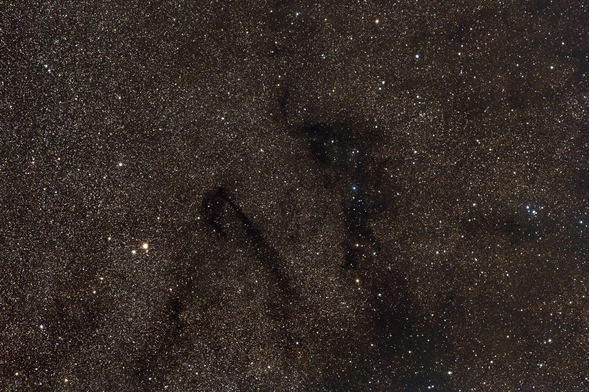 Dark nebulae LDN778, LDN768 & vdB126 Wayne Stallard, Basildon, Essex, 30 July 2020. Equipment: QHY268C camera, William Optics WhiteCat 51 apo refractor, Sky-Watcher EQM Pro Mount