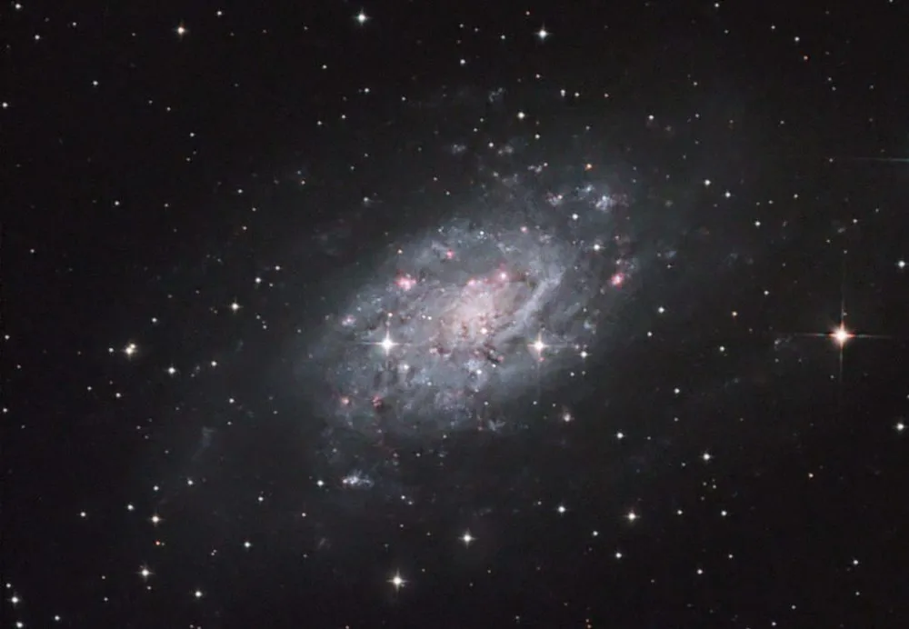 NGC 2403. Credit: Manfred Wasshuber / CCDGuide.com