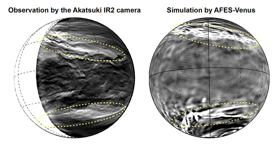 Streaks in the clouds of Venus, as seen by JAXA’s Akatsuki orbiter (left) and reconstructed by simulations with the AFES-Venus computer programme (right). Credit: JAXA