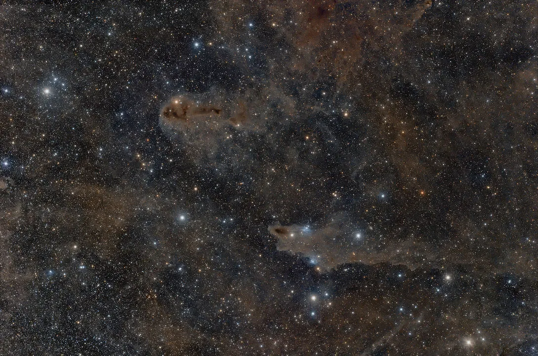 Dark nebulae LDN1235 and LDN1251 André van der Hoeven, Eifel, Germany, 13 and 18 August 2020. Equipment: Nikon D810A DSLR, William Optics SpaceCat 51 apo refractor, Sky-Watcher NEQ6 mount