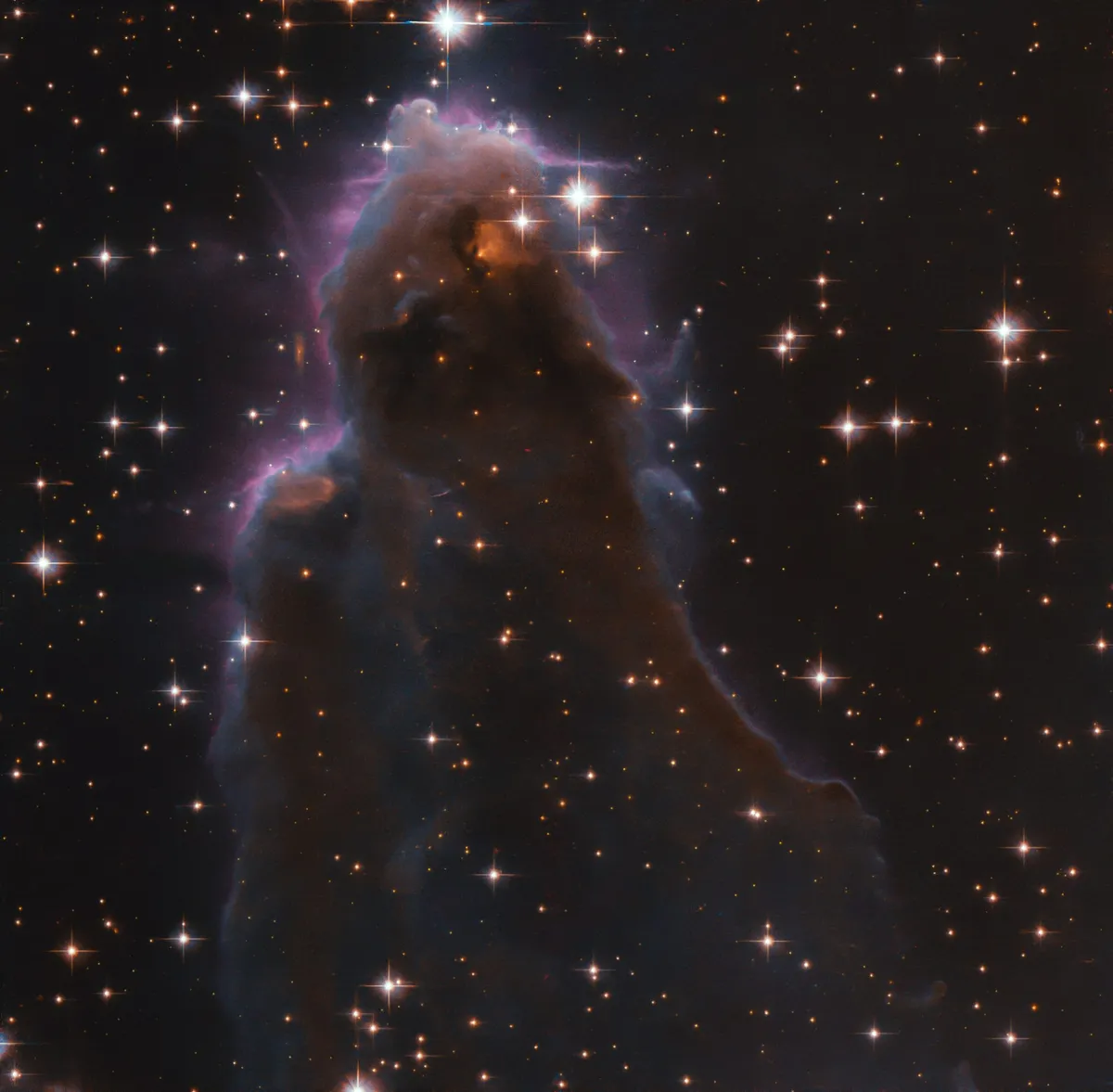 Free-floating Gaseous Globules. Credit ESA/Hubble & NASA, R. Sahai