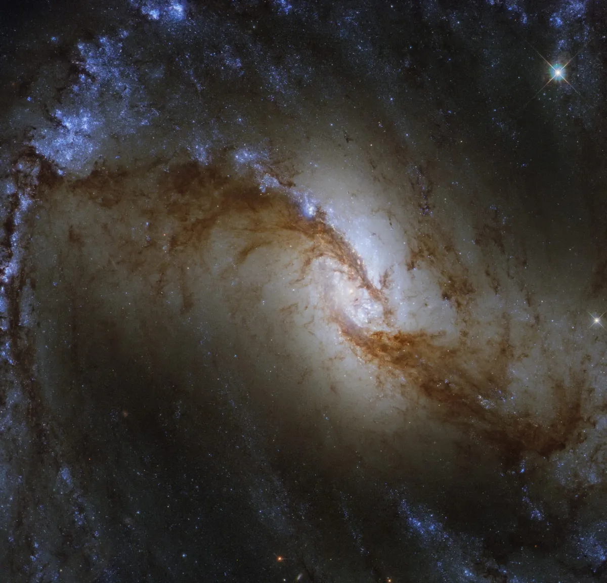 Great Barred Spiral Galaxy NGC 1365, captured by the Hubble Space Telescope. Credit: Credit: ESA/Hubble & NASA, J. Lee and the PHANGS-HST Team Acknowledgement: Judy Schmidt (Geckzilla)