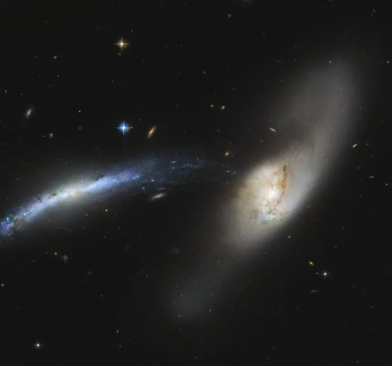 Merging galaxies NGC 2799 (left) and NGC 2798 (right) HUBBLE SPACE TELESCOPE, 23 OCTOBER 2020 IMAGE CREDIT ESA/Hubble & NASA, SDSS, J. Dalcanton, CC BY 4.0; Acknowledgement: Judy Schmidt (Geckzilla)