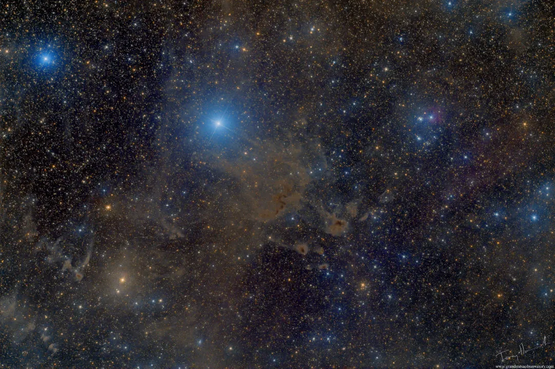 Bright and dark nebulae in Cepheus Terry Hancock, western Colorado, USA, 22 September 2020 Equipment: QHYCCD QHY410C camera, Takahashi E180 astrograph, Paramount GT1100S mount