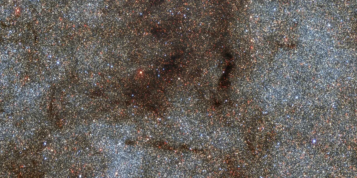 A region near the centre of the Milky Way galaxy covering 0.5 by 0.25 degrees. This image contains over 180,000 stars and shows a region of our galaxy about 220x100 lightyears across. Credit: CTIO/NOIRLab/DOE/NSF/AURA/STScI, W. Clarkson (UM-Dearborn), C. Johnson (STScI), and M. Rich (UCLA)