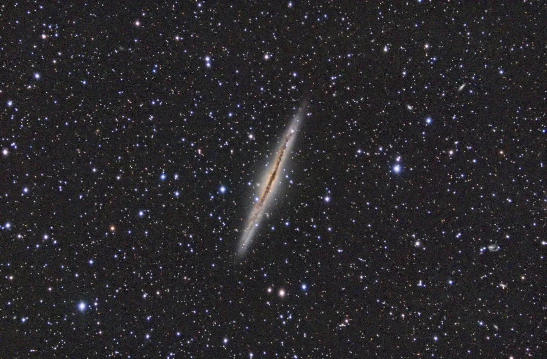 NGC 891 Mark Shelton, Birmingham, 26 October 2020. Equipment: ZWO ASI 6200 camera, Celestron C14 Schmidt-Cassegrain OTA, Paramount MX  mount