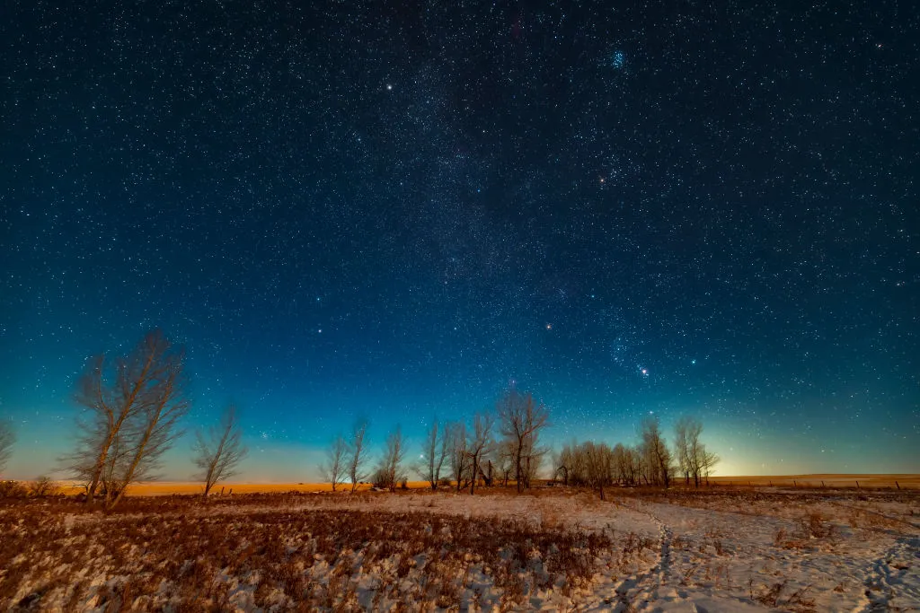 Winter stars and constellations in the sky, 2 December 2019 from Alberta, Canada. Top left of centre, the two prominent stars are Castor and Pollux in Gemini. Credit: VW Pics / Getty Images