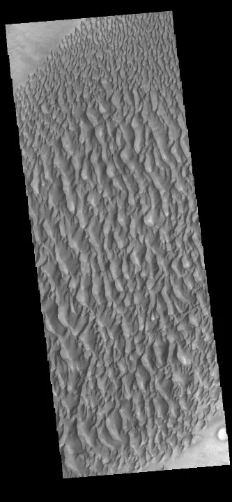 SAND DUNES, PROCTOR CRATER, MARS MARS ODYSSEY, 14 DECEMBER 2020 Credit: NASA/JPL-Caltech/ASU