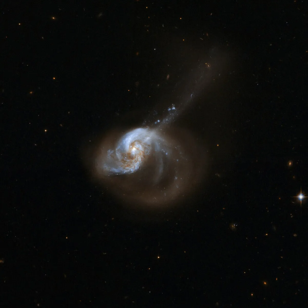 Galaxy system NGC 1614, Note the bright centre and two spiral arms. The asymmetrical structure of the galaxy is probably a result of tidal interactions between two galaxies that merged to produce the object seen here. Credit: NASA, ESA, the Hubble Heritage Team (STScI/AURA)-ESA/Hubble Collaboration and A. Evans (University of Virginia, Charlottesville/NRAO/Stony Brook University)