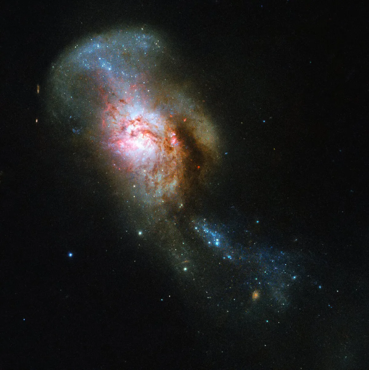 This galactic merger is known as the Medusa merger, as it supposedly looks like the writhing snakes that form the Greek Gorgon’s hair. Astronomers think that in the case of NGC 4194, to give it its formal name, an early galaxy consumed a smaller gas-rich system, ejecting streams of stars and cosmic dust into space. Credit: ESA/Hubble & NASA, A. Adamo