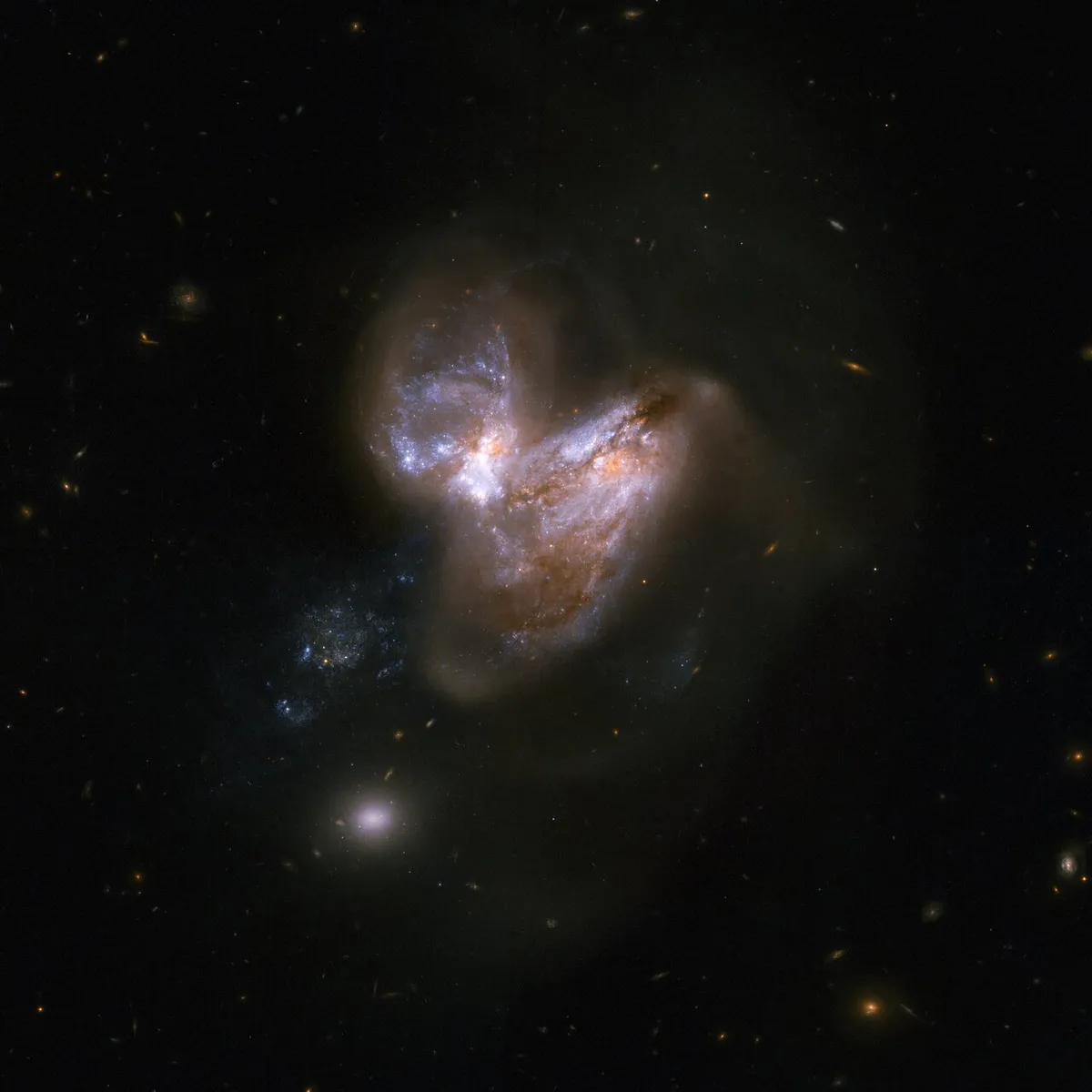 Galaxies IC 694 and NGC 3690 had a close encounter about 700 million years ago, causing the resulting merger to undergo an energetic burst of star formation. In the last fifteen years 6 supernovae have been observed in the outer fringes of the galaxy. Credit: NASA, ESA, the Hubble Heritage Team (STScI/AURA)-ESA/Hubble Collaboration and A. Evans (University of Virginia, Charlottesville/NRAO/Stony Brook University)