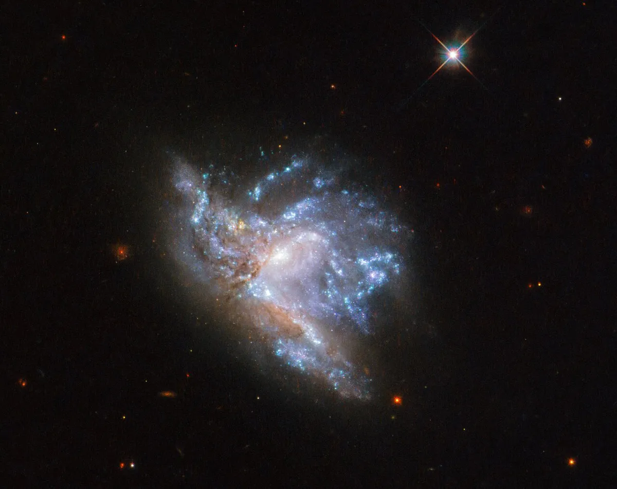 NGC 6052 is a pair of colliding galaxies in the constellation of Hercules about 230 million light-years away. It was discovered by William Herschel in 1784 and originally thought to be a single irregular galaxy. Credit: ESA/Hubble & NASA, A. Adamo et al.