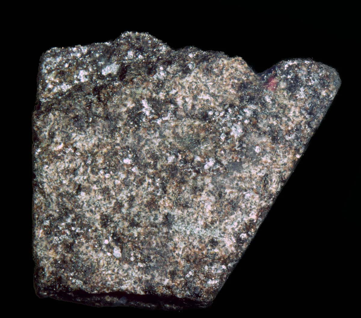 A sample of basalt collected on the Moon during the Apollo 14 mission and brought back to Earth. Photo by CM Dixon/Print Collector/Getty Images)
