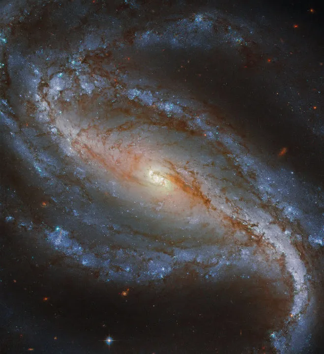 Barred spiral galaxy NGC 613 HUBBLE SPACE TELESCOPE, 11 JANUARY 2021 CREDIT: ESA/Hubble & NASA, G. Folatelli