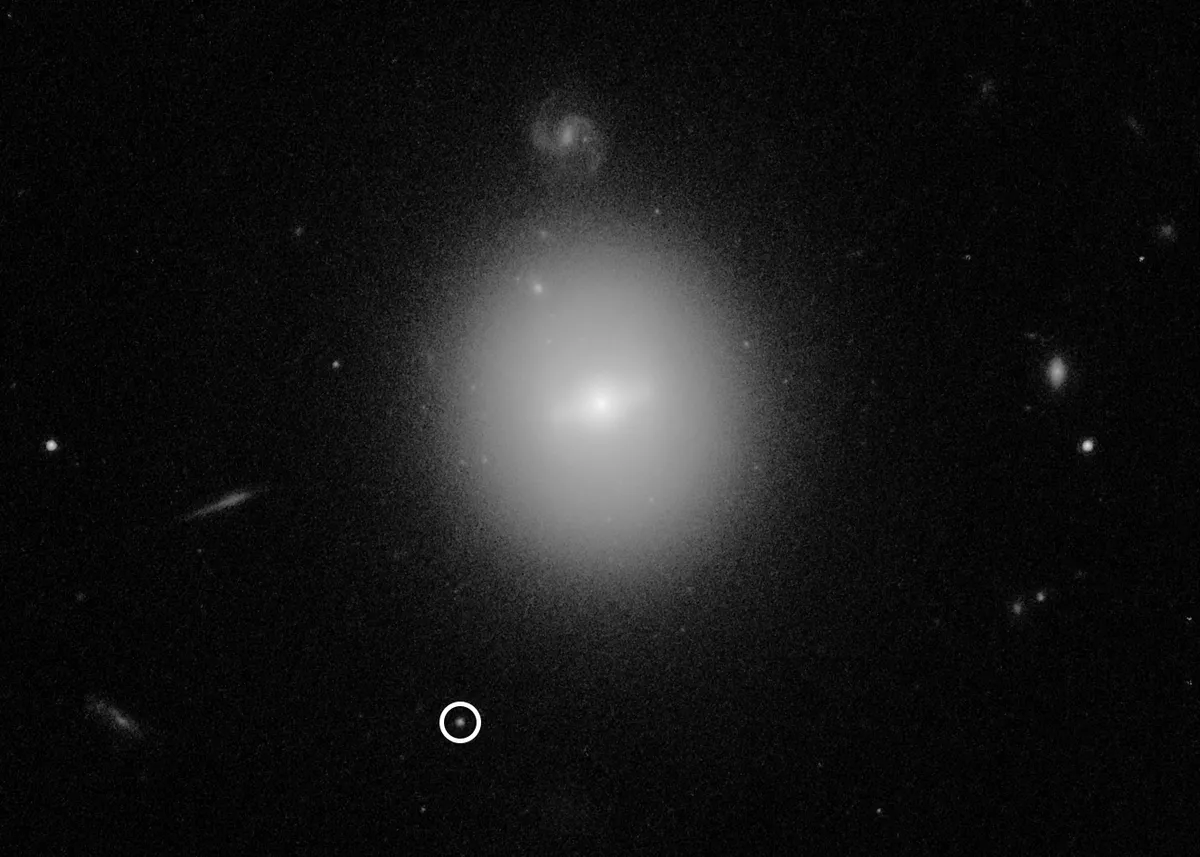 The object circled in this Hubble Space Telescope image is 3XMM J215022.4−055108, one of the strongest candidates yet discovered for the elusive intermediate black hole. The black hole resides in a dense cluster of stars near the bright galaxy at the centre of the image. Credit: NASA, ESA and D. Lin (University of New Hampshire)