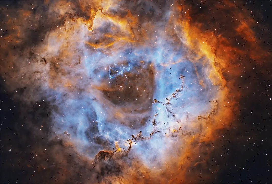 Bok globules in the Rosette Nebula Emil Andronic, Bushey, Hertfordshore, UK, 21–24 January 2021. Equipment: ZWO ASI 294MM Pro mono camera, Astro-Tech 106LE triplet refractor, Sky-Watcher EQ6 Pro mount