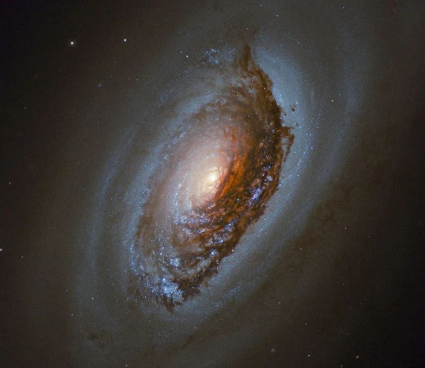 The Black Eye Galaxy, NGC 4826 HUBBLE SPACE TELESCOPE, 22 FEBRUARY 2021. IMAGE CREDIT: ESA/Hubble & NASA, J. Lee and the PHANGS-HST Team. Acknowledgement: Judy Schmidt