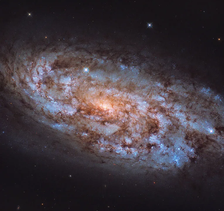 Starburst galaxy NGC 1792 HUBBLE SPACE TELESCOPE, 5 FEBRUARY 2021 IMAGE CREDIT: ESA/Hubble & NASA, J. Lee; Acknowledgement: Leo Shatz.
