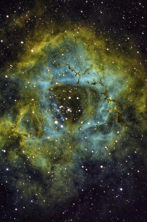 The Rosette Nebula Richard Parsons, Worcestershire, January 2021. Equipment: ASI 183MM Pro camera, William Optics ZenithStar 73 apo refractor, Sky-Watcher HEQ5 Pro mount