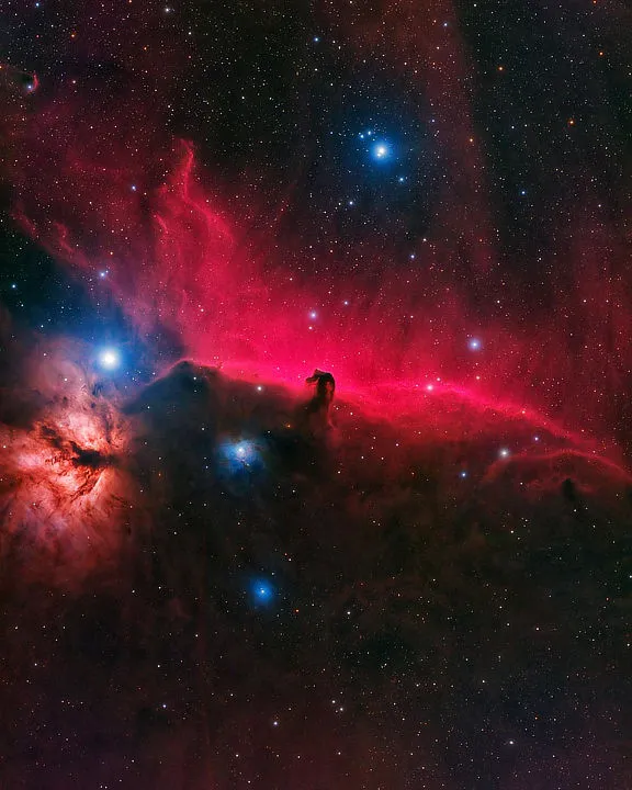 The Horsehead Nebula Jun Luo, Florida, USA, 5–14 January 2021. Equipment: ZWO ASI 6200MM Pro camera, Astro-Physics StarFire 130 EDF GT apo refractor, Paramount MyT mount