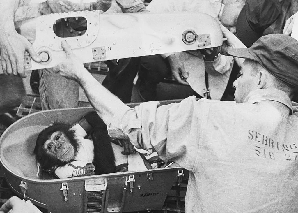 Engineers open the capsule of chimpanzee Ham, following his successful flight into space. Credit: Bettmann / Getty Images
