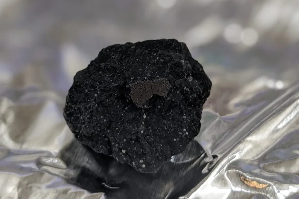 The Winchcombe meteorite could give scientists insight into what the early Solar System was like. Credit: The Trustees of the Natural History Museum
