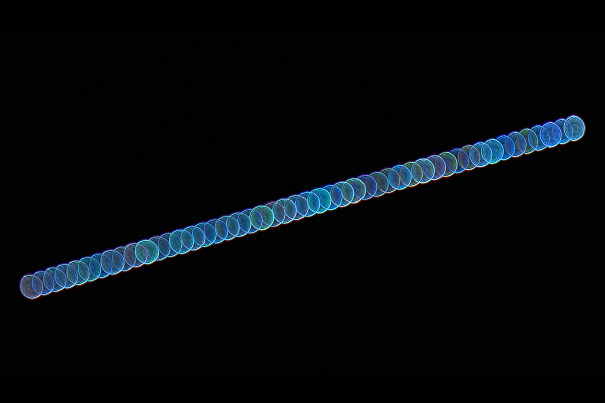 Photograph the changing colours of a twinkling star | BBC Sky at Night ...