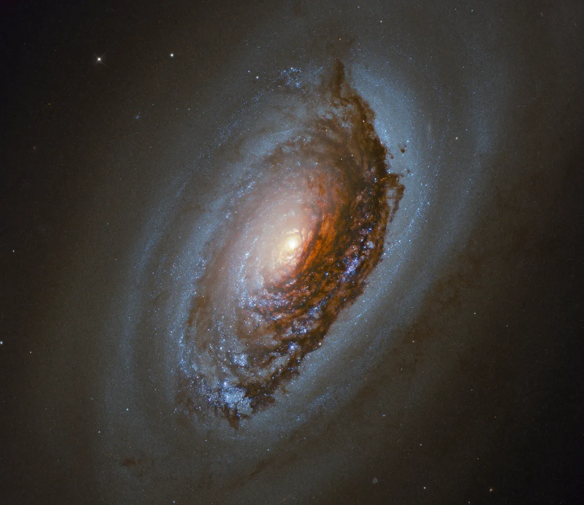 Black Eye Galaxy. Image credit ESA/Hubble & NASA, J. Lee and the PHANGS-HST Team. Acknowledgement: Judy Schmidt