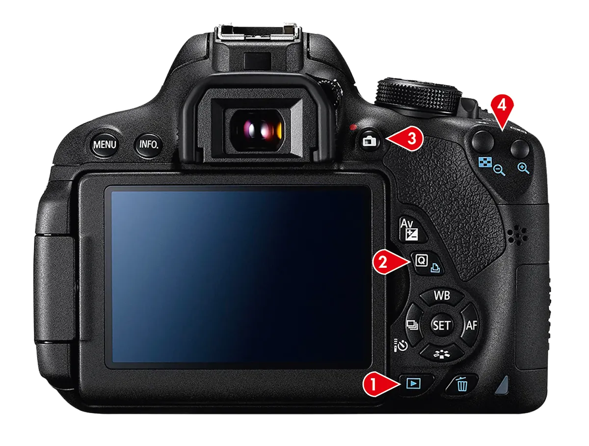 DSLR camera settings buttons. They are similar on most models, but may vary in position. Here the settings are: 1) ‘Playback’ button; 2) ‘Q’ button; 3) ‘Live View’ button; 4) ‘Zoom’ function