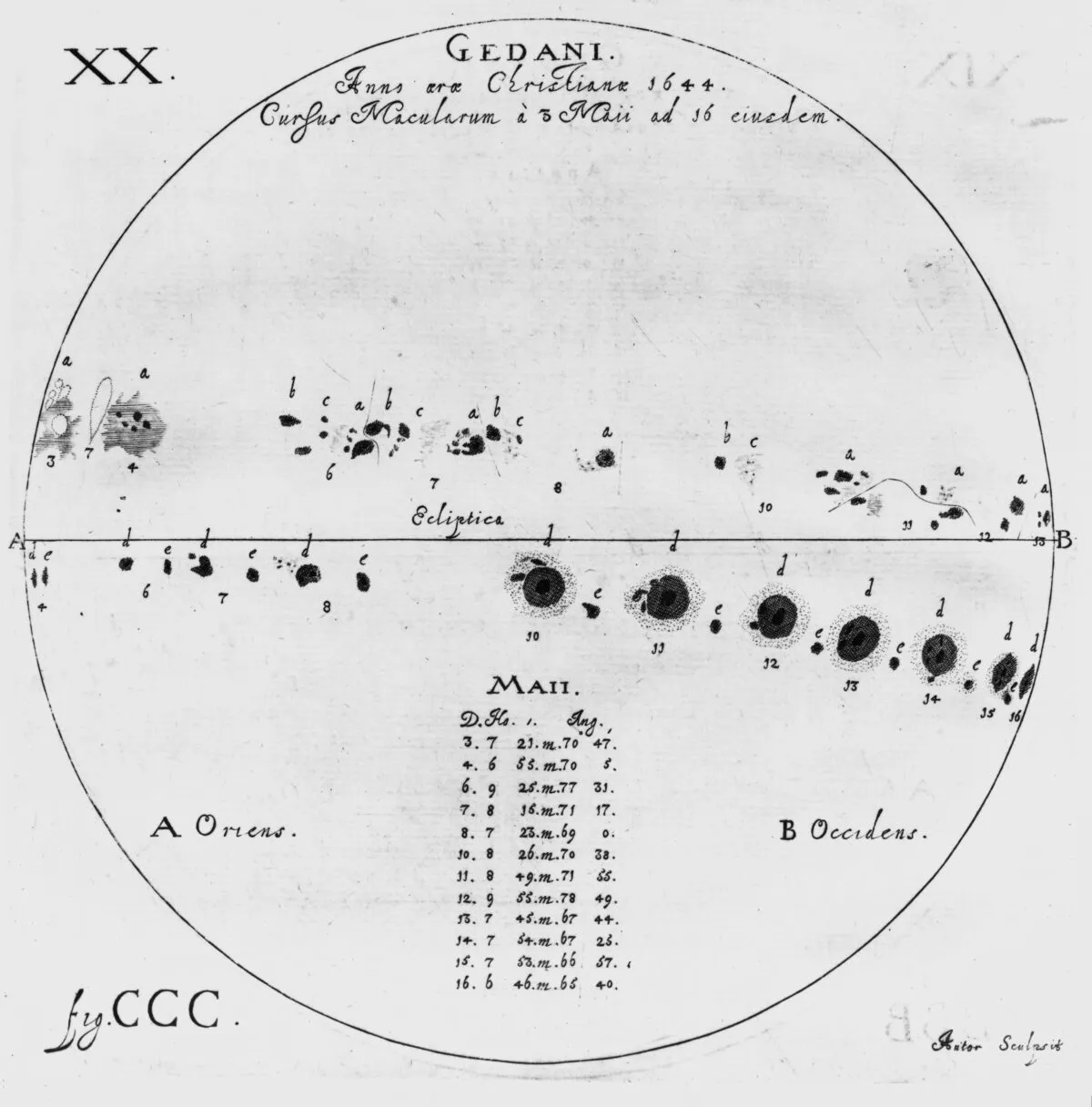 Drawings of sunspots as they appeared on the Sun, 3-16 May 1644, as observed by German astronomer Johannes Hevelius. Credit: Science & Society Picture Library / Getty Images