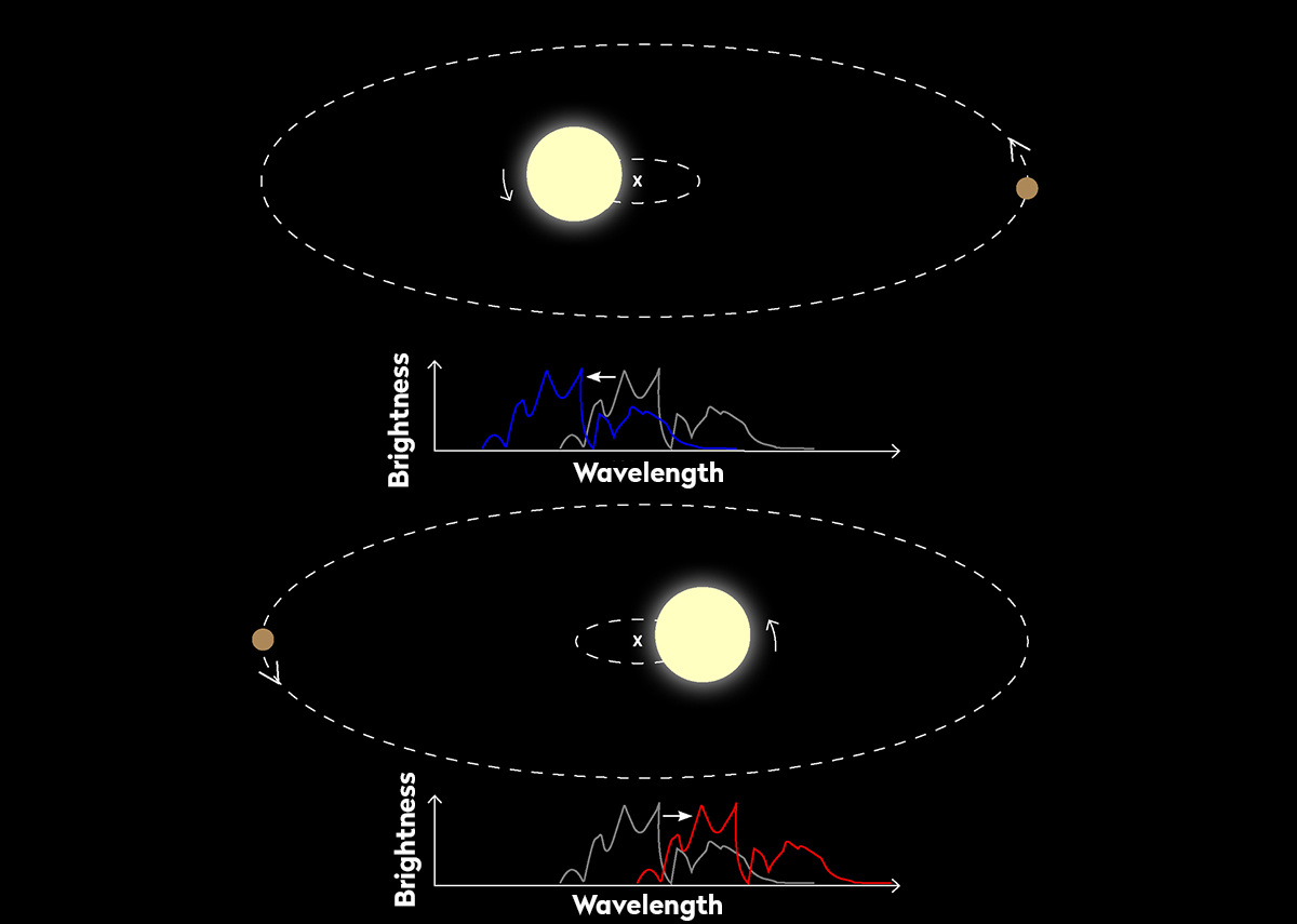 El método de velocidad radial para detectar exoplanetas busca un cambio en el espectro de la luz estelar cuando una estrella se tambalea debido a la atracción gravitacional de un exoplaneta que la orbita.  Crédito: ESA