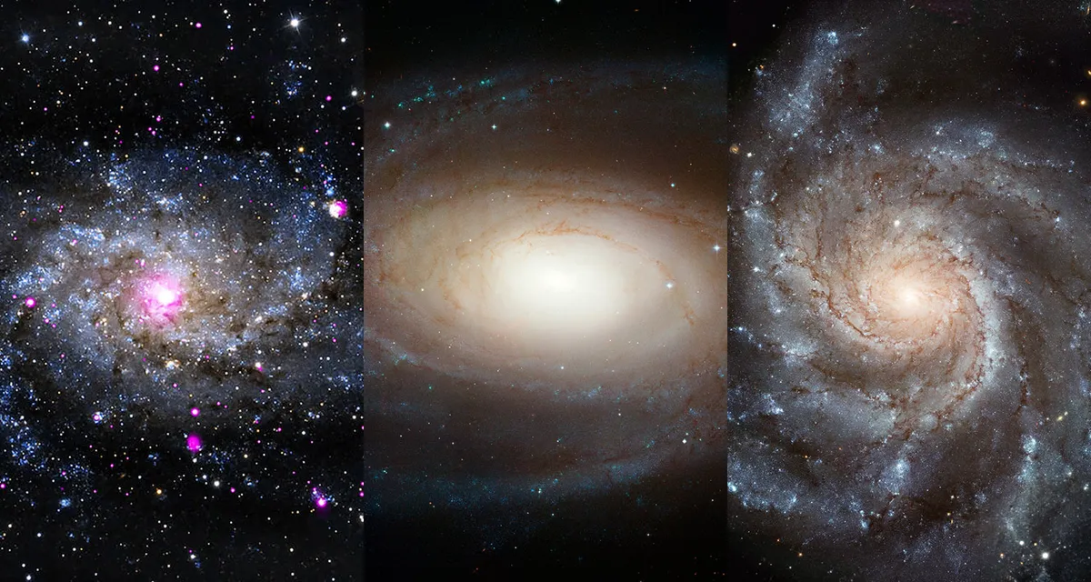 Left to right: galaxies M33, M81, M101. Credit: Image credit: X-ray: NASA/CXC/SAO/P. Plucinsky et al.; NASA, ESA and the Hubble Heritage Team (STScI/AURA); NASA, ESA, K. Kuntz (JHU), F. Bresolin (University of Hawaii), J. Trauger (Jet Propulsion Lab), J. Mould (NOAO), Y.-H. Chu (University of Illinois, Urbana) and STScI; CFHT Image: Canada-France-Hawaii Telescope/J.-C. Cuillandre/Coelum; NOAO Image: G. Jacoby, B. Bohannan, M. Hanna/NOAO/AURA/NSF