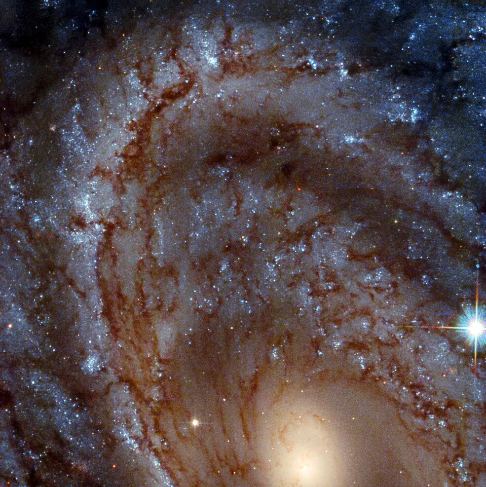 A Close-up of spiral galaxy NGC 4603. HUBBLE SPACE TELESCOPE, 19 April 2021. IMAGE CREDIT: ESA/Hubble & NASA, J. Maund