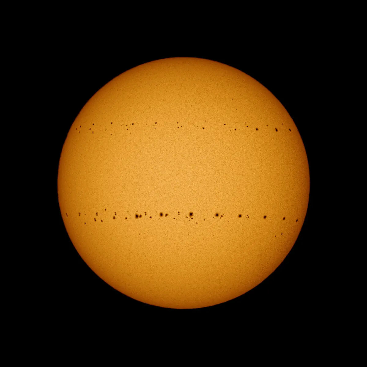 A composite image showing the movement of sunspots over a period of 100 days. Credit: Soumyadeep Mukherjee