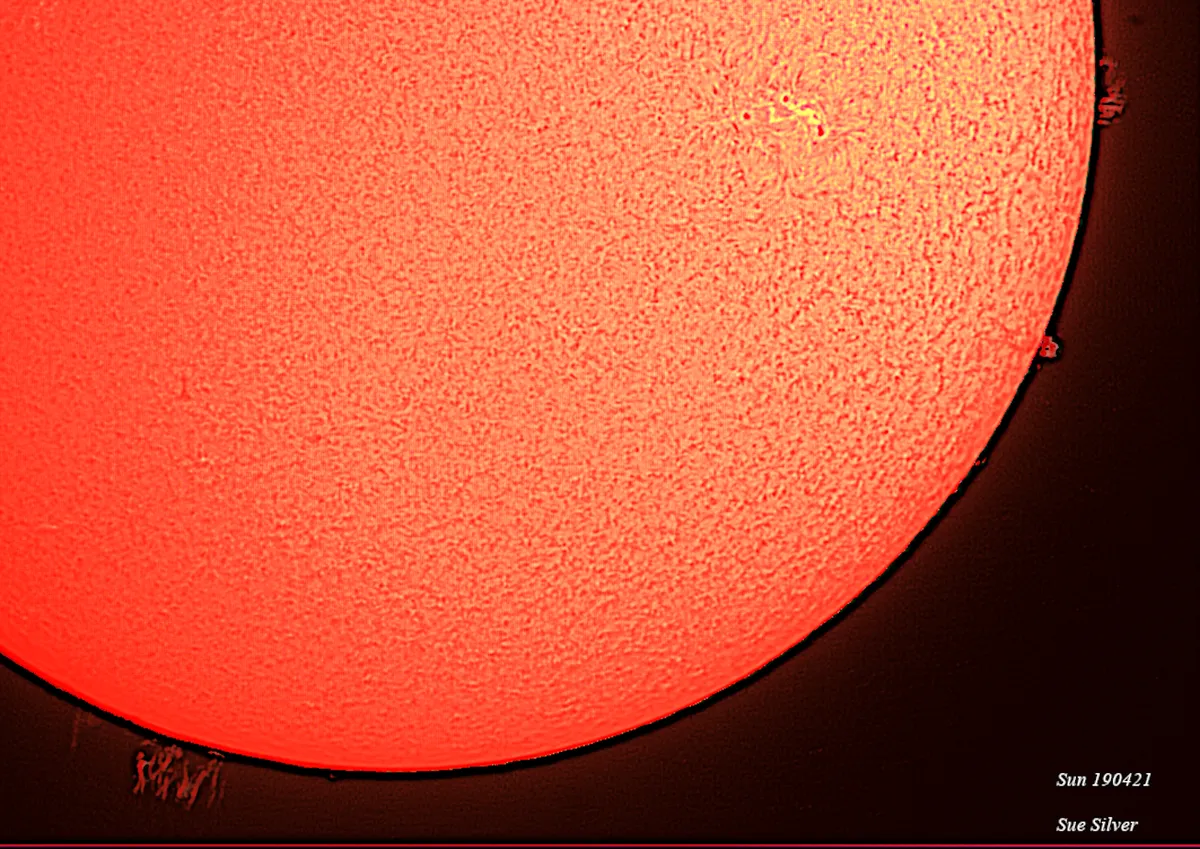Solar prominence Sue Silver, Sheffield, 19 February 2021 Equipment: ZWO ASI 120MC-S colour camera, Lunt LS60THa solar telescope, Sky-Watcher EQ5 Pro mount