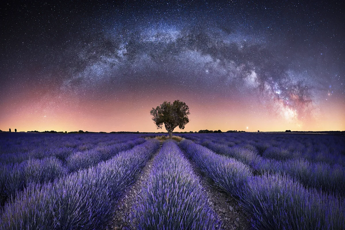Harmony © Stefan Liebermann (Germany) Valensole, Alpes-de-Haute-Provence, France, 22 June 2020. Equipment: Sony ILCE-7M3 camera, Fornax Mounts LighTrack II mount, 16 mm f/2.8 lens. Foreground: ISO 2500, 15 x 0.8-second exposures. Sky: ISO 2000, 5 x 120-second exposures