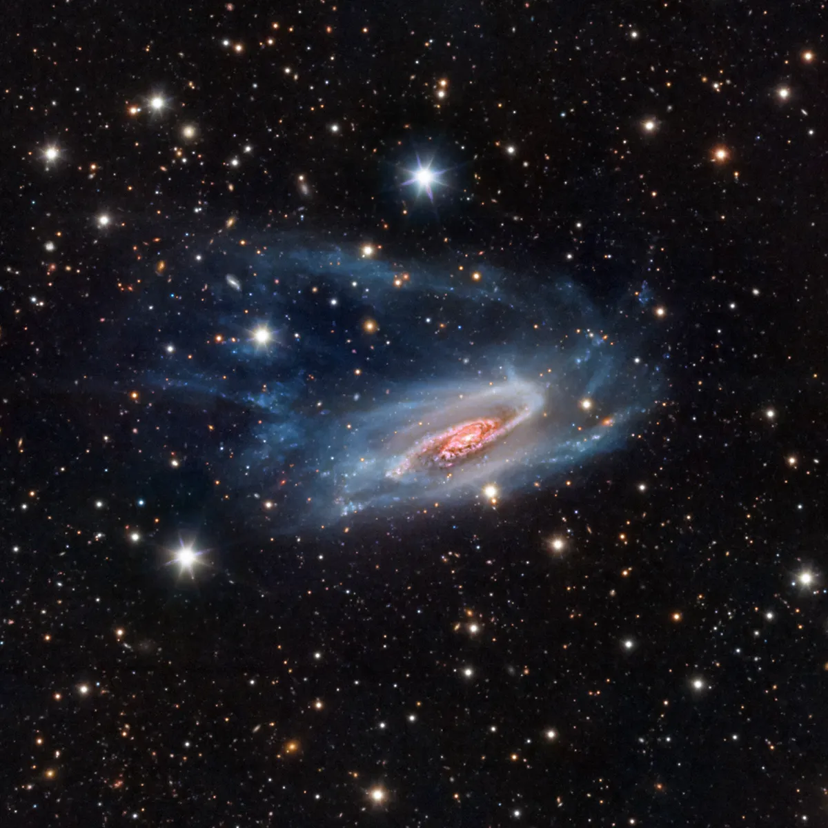 NGC 3981 © Bernard Miller (USA) Telescope Live, El Sauce Observatory, Río Hurtado, Coquimbo Region, Chile, 24 February 2021. Equipment: ASA RC-1000AZ telescope at f/6.8, Astrodon filters, ASA Alt-Azimuth Direct Drive Mount, FLI PL16803 camera, L-RGB composite, 34 hours total exposure