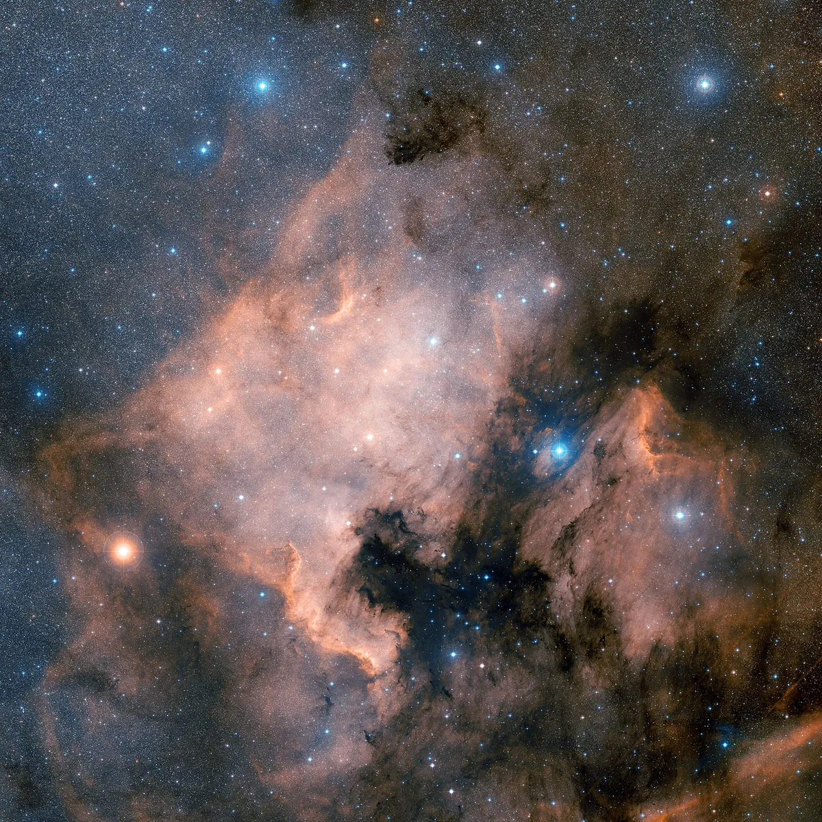 A view of the North America Nebula captured by the Palomar Observatory's 48-inch (1.2 meter) Samuel Oschin Telescope. Credit: Davide De Martin (ESA/Hubble), the ESA/ESO/NASA Photoshop FITS Liberator & Digitized Sky Survey 2