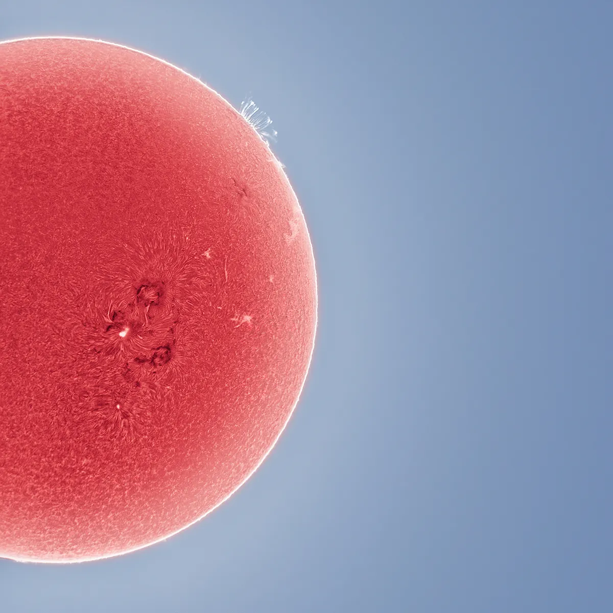 The Magnetic Field of our Active Sun © Andrew McCarthy (USA), Elk Grove, California, USA, 29 November 2020. Equipment: Coronado Solarmax III telescope at f/5, Hobym Traveller mount, ZWO ASI178MM camera, 6-millisecond exposure