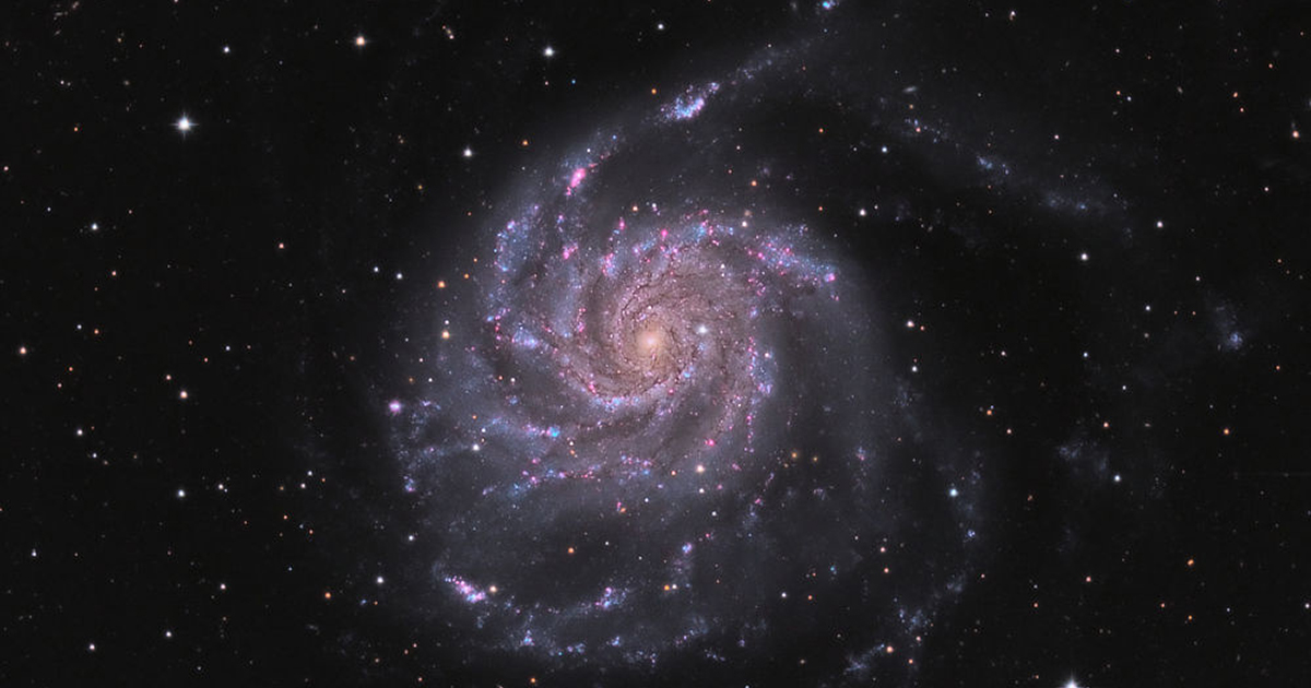 The Pinwheel Galaxy, home of a famous supernova and bright blue arms filled with newborn stars