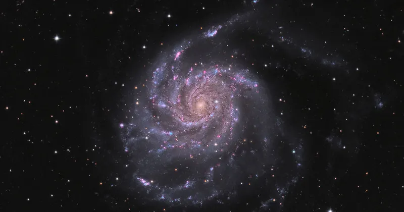 The Pinwheel Galaxy, Rouzbeh Bidishahri, Vancouver, Canada, 10 June 2021. Equipment: QHY268M camera, Planewave CDK12.5 astrograph, Astro-Physics 1100 GTO mount