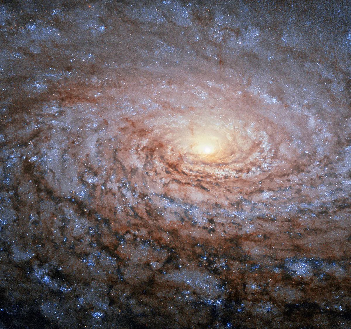 A Hubble Space Telescope image of the Sunflower Galaxy. Credit: ESA/Hubble & NASA