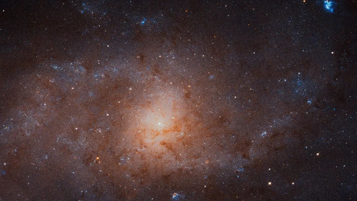 An image of the Triangulum Galaxy captured by the Hubble Space Telescope. Credit: NASA, ESA, and M. Durbin, J. Dalcanton, and B. F. Williams (University of Washington)