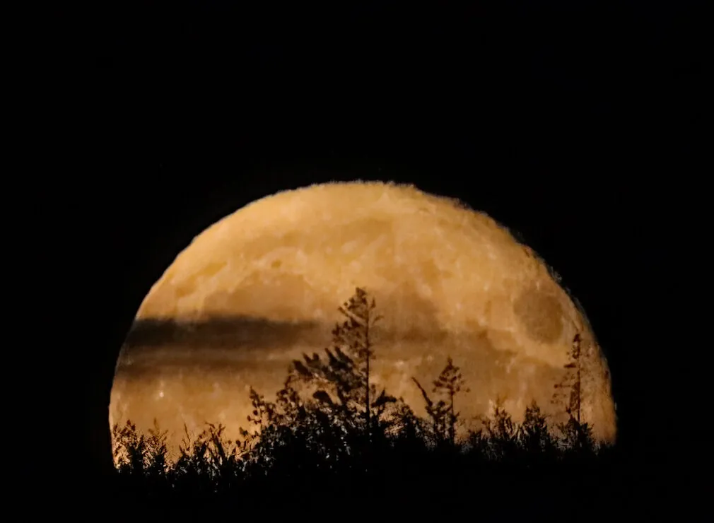 Moon rising, Mike Read, Longleat forest, Wiltshire, 25 June 2021. Equipment: Canon 90D DSLR, Sigma 150–600mm lens