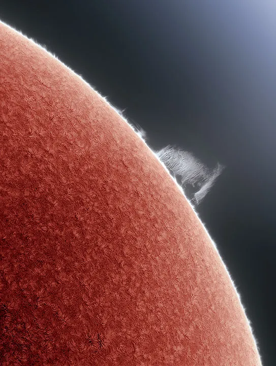 Curtain of Hydrogen, by Alan Friedman (USA). Highly commended, Our Sun. Buffalo, New York, USA, 17 June 2020. Equipment: Astro-Physics 92 mm f/4.8 Stowaway refractor telescope, Baader FFC, 90 mm Coronado Solarmax Ha filter, Astro-Physics 1200 mount, Grasshopper 2MP monochrome streaming camera.