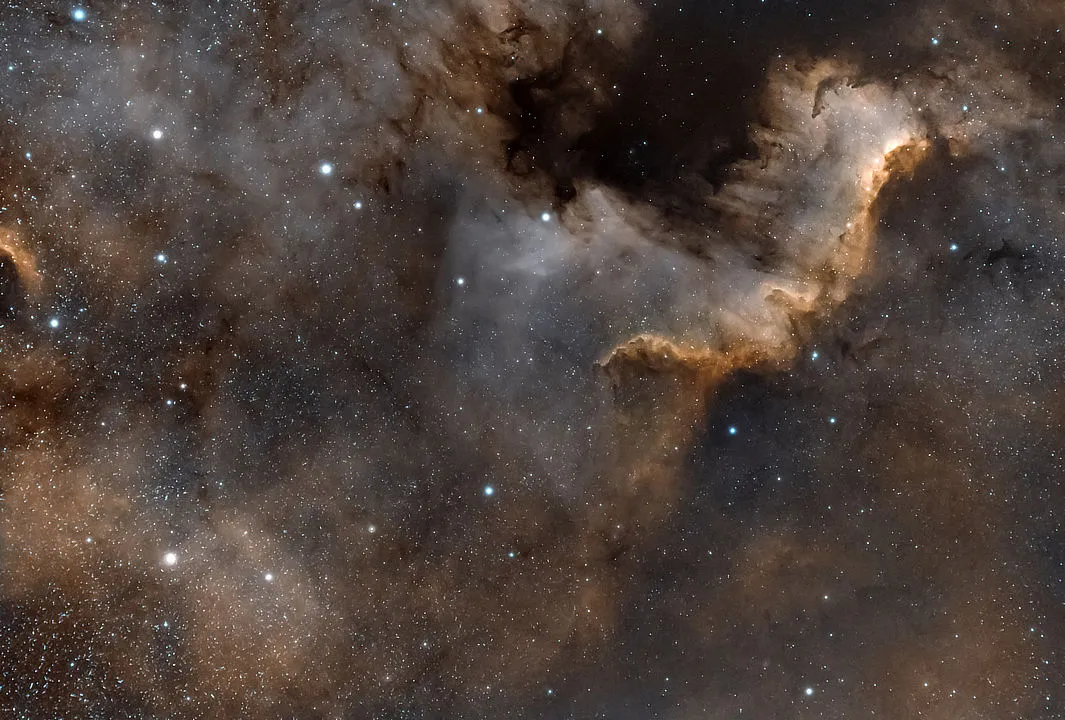 The North America Nebula Rachael and Jonathan Wood, Doncaster, 15 June 2021 Equipment: ZWO ASI294MC Pro camera, Sky-Watcher Evostar ED80 refractor, Sky-Watcher HEQ5 Pro mount
