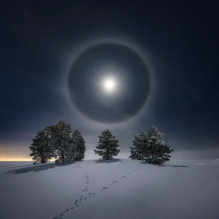Lunar Halo, by Göran Strand (Sweden). Runner up, Our Moon. Östersund, Jämtland County, Sweden, 25 January 2021. Equipment: Nikon Z6 II camera, 14 mm f/5.6 lens, ISO 200, 6 x 15-second exposures.