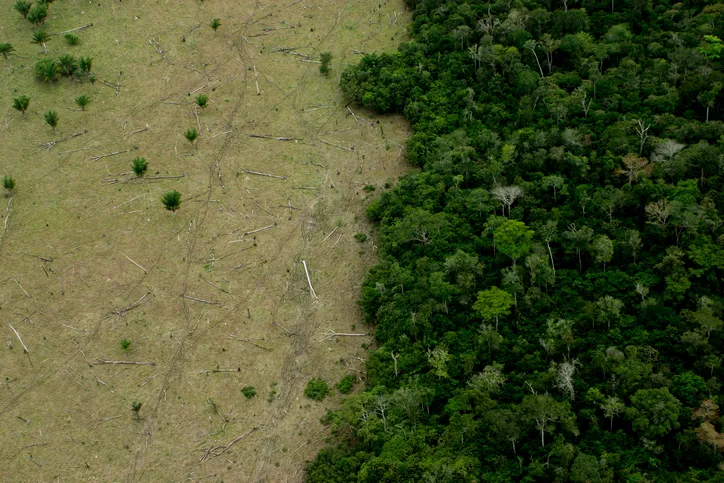 Deforestation of rainforests like the Amazon has worsened the effects of climate change. Credit: LeoFFreitas / Getty Images
